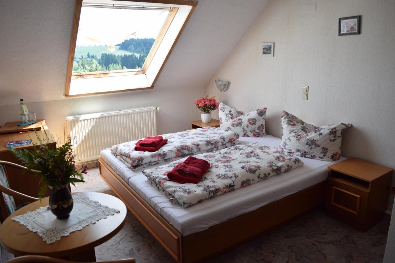 Hotel Carola Schönheide Dış mekan fotoğraf